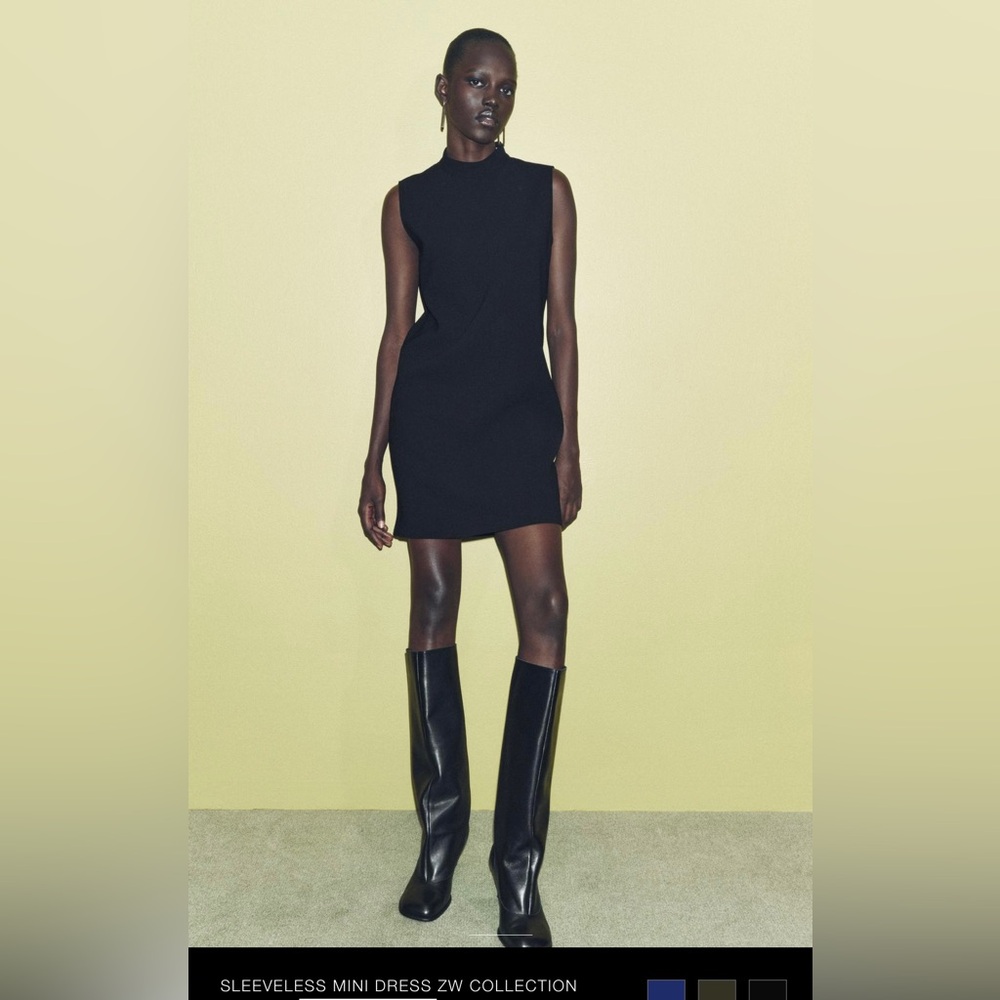 Brand New Sleeveless Mini Dress ZW Collection